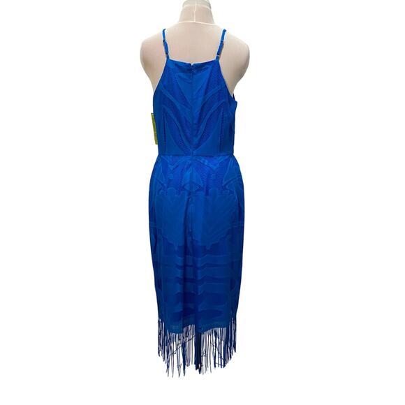 NWT GIANNI BINI Elizabeth Dress in Blue Macaw Lace Overlay Long Fringe Sz 6 NEW - Picture 4 of 6